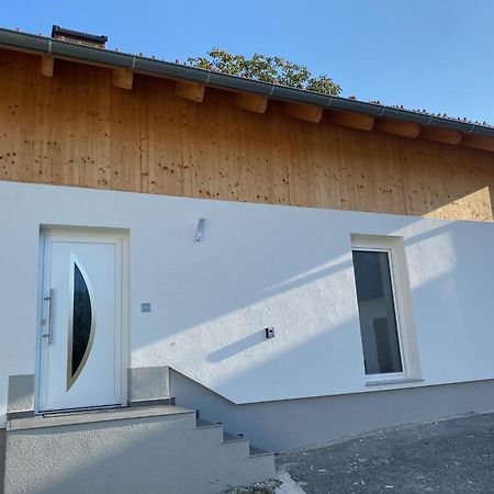 Ferienwohnung Felina พัสเซา ภายนอก รูปภาพ