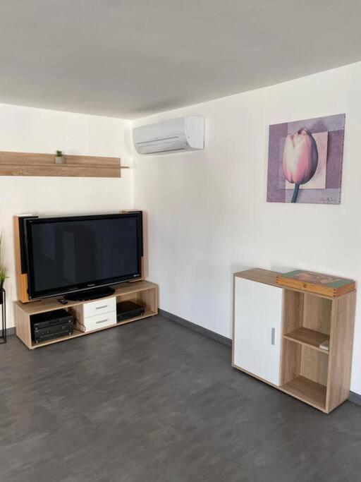 Ferienwohnung Felina พัสเซา ภายนอก รูปภาพ